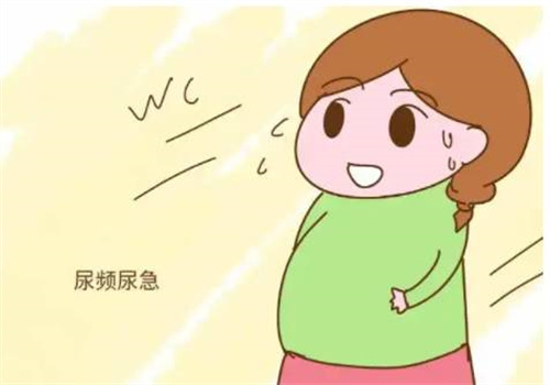 做好卵泡监测，科学备孕事半功倍