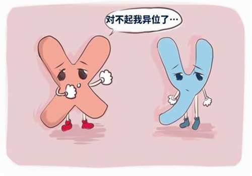 假性怀孕会显示两杠吗？假性怀孕和真正怀孕主要的区别是这些
